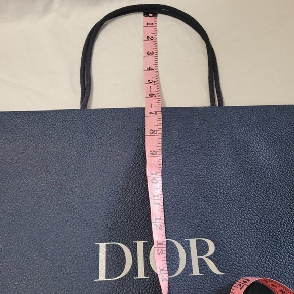 Dior Blue Textured Gift Bag Empty Logo Spell Out Bug Reusable Decorative Craft - Picture 14 of 15